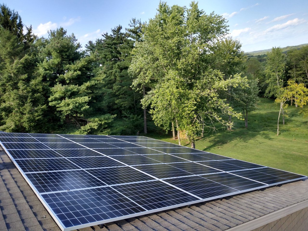 Rooftop solar array backed by green summer trees